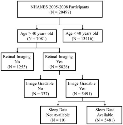 Sleep duration and age-related macular degeneration: a cross-sectional and Mendelian randomization study